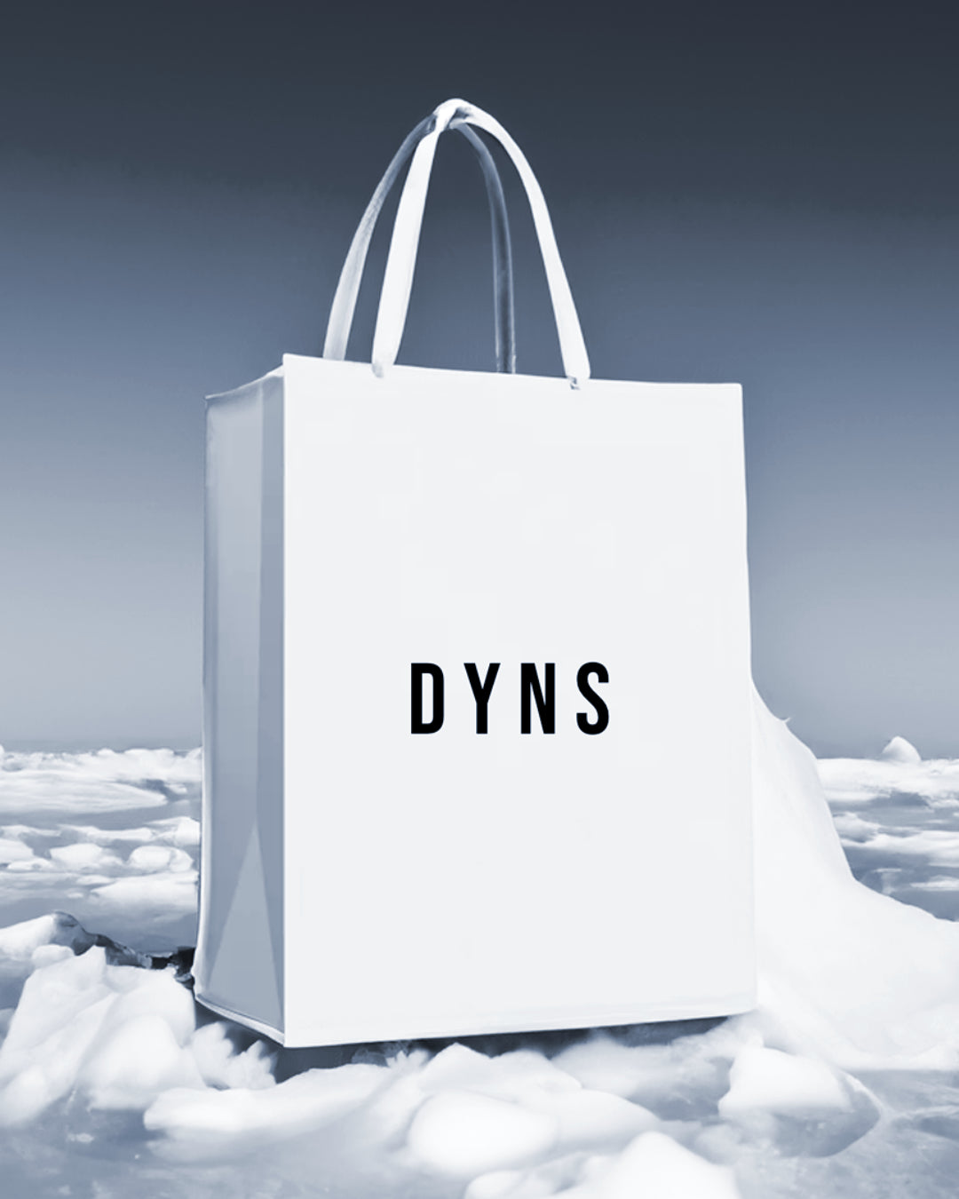 NEW DYNS Mystery Bag worth 100